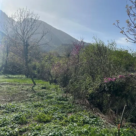 Casa de hóspedes Jani