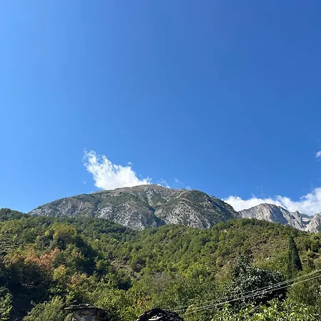 Casa de hóspedes Jani