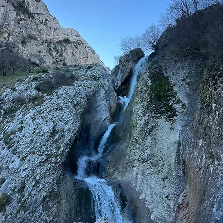 بيت ضيافة Jani