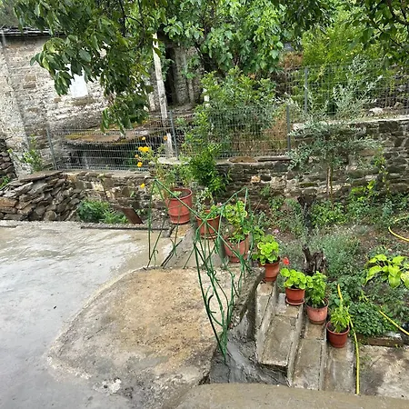 Jani Stone House Fireplace Near Quiet Nature בית הארחה Përmet