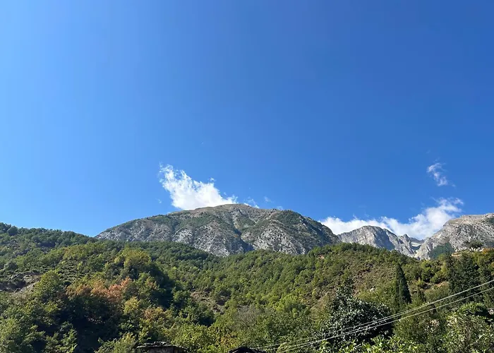 Konukevi Jani