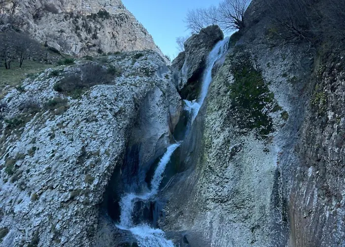 Konukevi Jani
